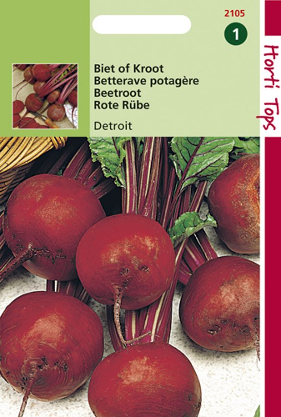 Rote Bete Detroit 2 (Beta vulgaris) 400 Samen HT